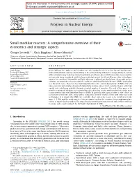 Small Modular Reactors: a Comprehensive Overview of Their Economics and Strategic Aspects
