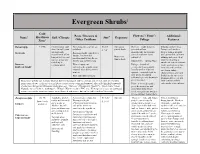 Evergreen Shrubs Part2