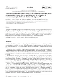 Phylogenetic Relationships and Morphology of the Pristimantis Leptolophus Species Group