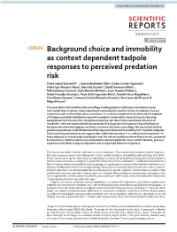 Background Choice and Immobility As Context Dependent Tadpole
