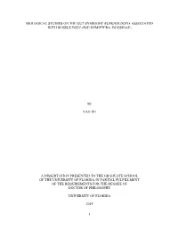 University of Florida Thesis Or Dissertation