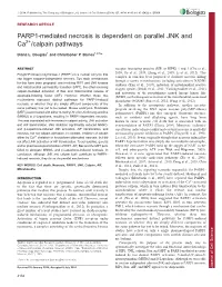 PARP1-Mediated Necrosis Is Dependent on Parallel JNK and Ca