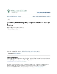 Quantifying the Sensitivity of Big Bang Nucleosynthesis to Isospin Breaking