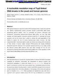 A Nucleotide Resolution Map of Top2-Linked DNA Breaks