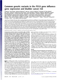 Common Genetic Variants in the PSCA Gene in Fluence Gene Expression