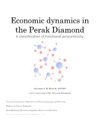 Economic Dynamics in the Perak Diamond a Consideration of Functional Polycentricity