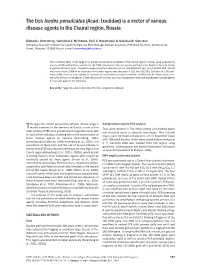 The Tick Ixodes Persulcatus (Acari: Ixodidae) Is a Vector of Various Disease Agents in the Cisural Region, Russia