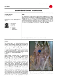 Unusual Variation of the Extensor Indicis Muscle Tendon