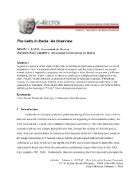 The Celts in Iberia: an Overview