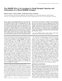 The SNARE Vti1a-Β Is Localized to Small Synaptic Vesicles And