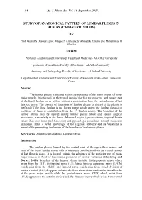 Study of Anatomical Pattern of Lumbar Plexus in Human (Cadaveric Study)