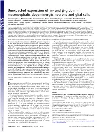 And -Globin in Mesencephalic Dopaminergic Neurons and Glial Cells
