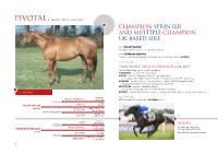 Champion Sprinter and Multiple Champion UK-BASED Sire