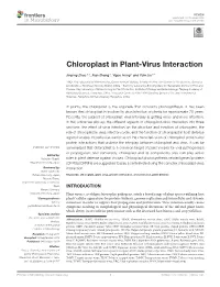Chloroplast in Plant-Virus Interaction