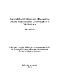 Computational Inferences of Mutations Driving Mesenchymal Differentiation in Glioblastoma