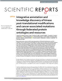 Integrative Annotation and Knowledge Discovery of Kinase Post