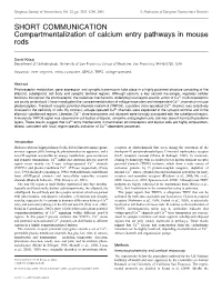 Compartmentalization of Calcium Entry Pathways in Mouse Rods