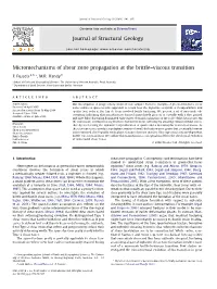 Micromechanisms of Shear Zone Propagation at the Brittle–Viscous Transition