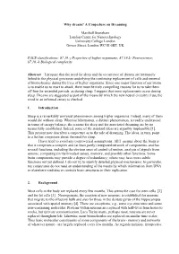 Why Dream? a Conjecture on Dreaming