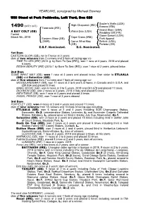 YEARLING, Consigned by Michael Downey