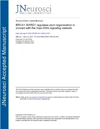 BRCA1–BARD1 Regulates Axon Regeneration in Concert with the Gqα–DAG Signaling Network