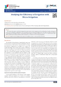 Studying the Efficiency of Irrigation with Micro-Irrigation