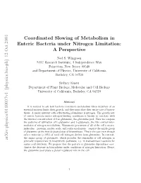 Coordinated Slowing of Metabolism in Enteric Bacteria Under Nitrogen