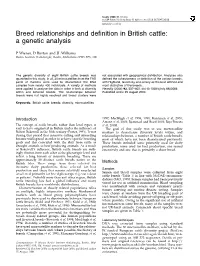 Breed Relationships and Definition in British Cattle
