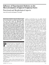 Influence of Experimental Diabetes on the Microcirculation of Injured Peripheral Nerve Functional and Morphological Aspects