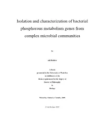 Isolation and Characterization of Bacterial Phosphorous Metabolism Genes from Complex Microbial Communities