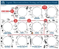 Aquatic Macroinvertebrate Sorting and Identification Guide