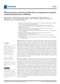 Characterization of Bacterial Microbiota Composition Along the Gastrointestinal Tract in Rabbits