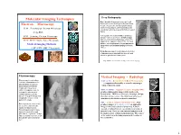 Molecular Imaging Techniques X-Ray Radiography Bone Absorbs X-Rays Particularly Well, Soft Tissue Has a Lower Density and Absorbs Fewer Electron Microscopy X-Rays