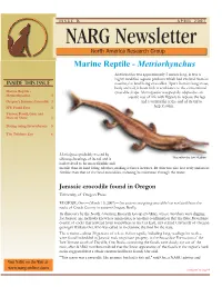 \\Crocodile\Issue 9\Newsletter.Cdr