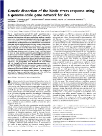 Genetic Dissection of the Biotic Stress Response Using a Genome-Scale Gene Network for Rice