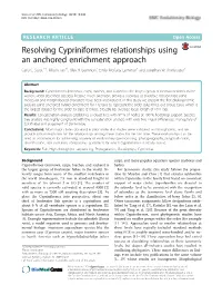 Resolving Cypriniformes Relationships Using an Anchored Enrichment Approach Carla C