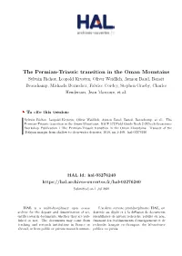 The Permian-Triassic Transition in the Oman Mountains