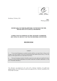 Article 3 of the Framework Convention