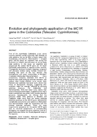 Evolution and Phylogenetic Application of the MC1R Gene in the Cobitoidea (Teleostei: Cypriniformes)