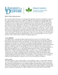 HOLLY-Genus-Overview.Pdf