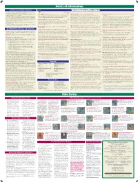 Points of Information / Ride Safely [Back]