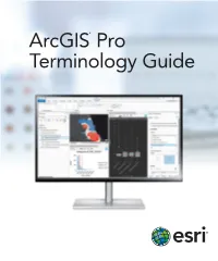 Arcgis® Pro Terminology Guide