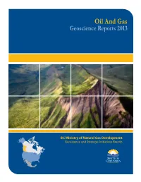 Oil and Gas Geoscience Reports 2013