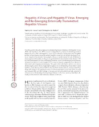 Hepatitis a Virus and Hepatitis E Virus: Emerging and Re-Emerging Enterically Transmitted Hepatitis Viruses