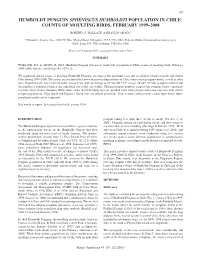Humboldt Penguin Spheniscus Humboldti Population in Chile: Counts of Moulting Birds, February 1999–2008