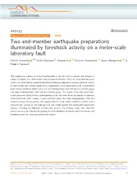 Two End-Member Earthquake Preparations Illuminated By