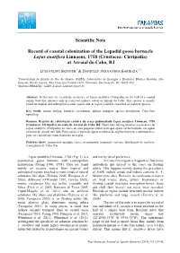 Download PDF File