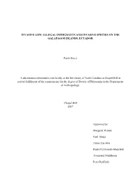 Illegal Immigrants and Invasive Species on the Galapagos Islands, Ecuador