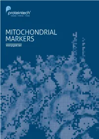 Mitochondrial Markers 1
