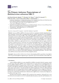 The Primary Antisense Transcriptome of Halobacterium Salinarum NRC-1